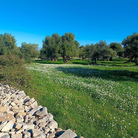 Che Vista!! Ostuni ,Sulle Bianche Mura Con Vista Mozzafiato ภายนอก รูปภาพ