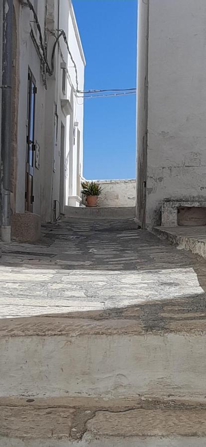 Che Vista!! Ostuni ,Sulle Bianche Mura Con Vista Mozzafiato ภายนอก รูปภาพ