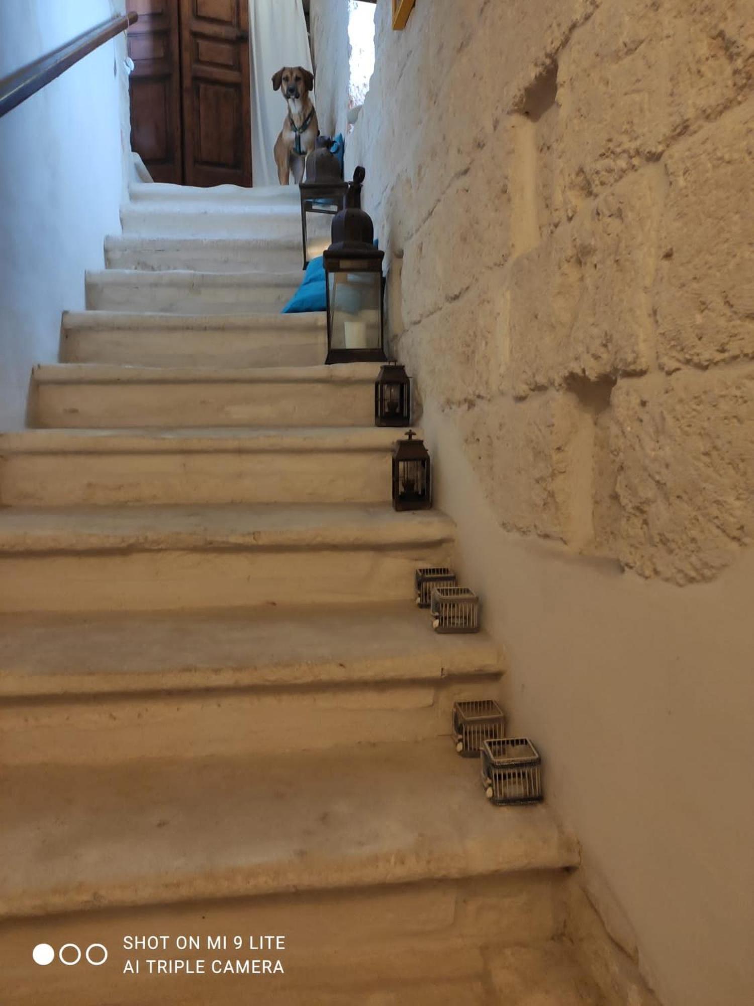 Che Vista!! Ostuni ,Sulle Bianche Mura Con Vista Mozzafiato ภายนอก รูปภาพ