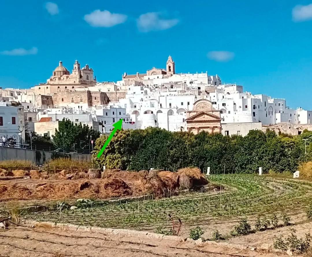 Che Vista!! Ostuni ,Sulle Bianche Mura Con Vista Mozzafiato ภายนอก รูปภาพ
